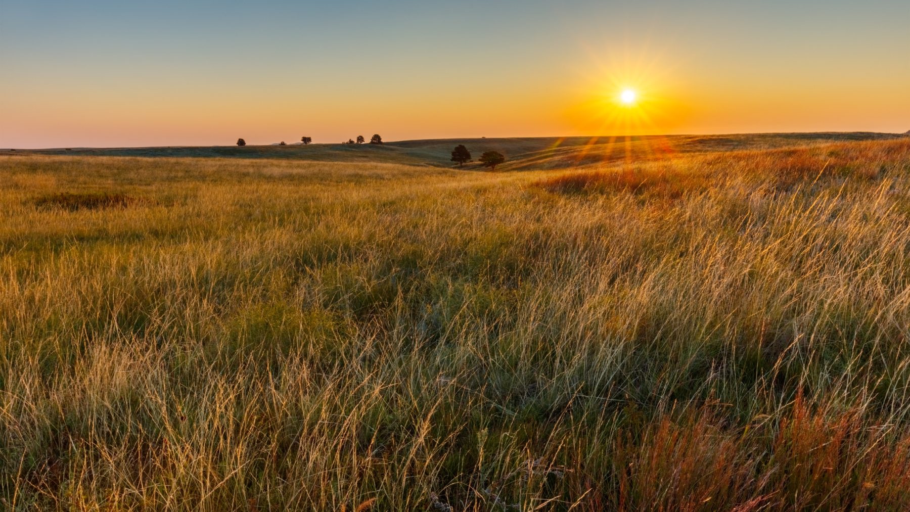 Prairie at sunset